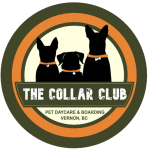 THE COLLAR CLUB